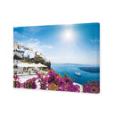 Bougainvillea in Greece