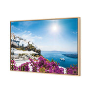 Bougainvillea in Greece