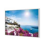 Bougainvillea in Greece