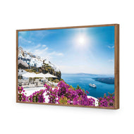 Bougainvillea in Greece