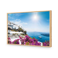Bougainvillea in Greece