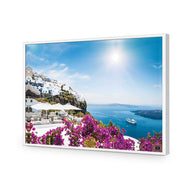 Bougainvillea in Greece