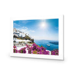 Bougainvillea in Greece
