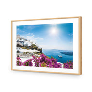 Bougainvillea in Greece