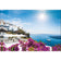 Bougainvillea in Greece