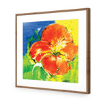 Abstract Hyacinth Right, Red