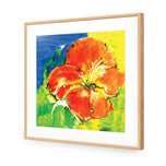 Abstract Hyacinth Right, Red