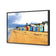 Row of Beach Boxes