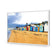 Row of Beach Boxes