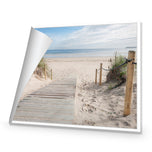 Beach Path