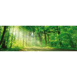 Sunlit Path
