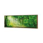 Sunlit Path