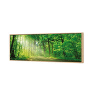 Sunlit Path