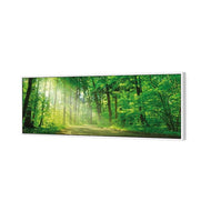 Sunlit Path