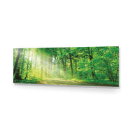 Sunlit Path