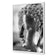 Buddha Full Face, B&W