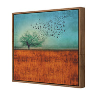 Autumn Migration