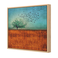 Autumn Migration