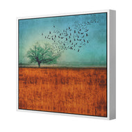 Autumn Migration