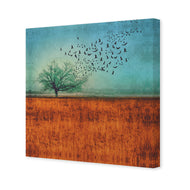Autumn Migration