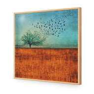 Autumn Migration