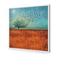 Autumn Migration