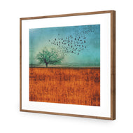 Autumn Migration