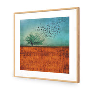 Autumn Migration