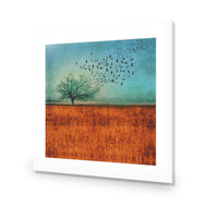 Autumn Migration