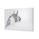 Andalusian Horse in the Mist