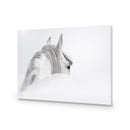 Andalusian Horse in the Mist