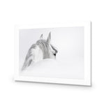 Andalusian Horse in the Mist