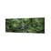 Mossman River In Daintree Rainforest