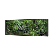Mossman River In Daintree Rainforest