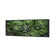Mossman River In Daintree Rainforest