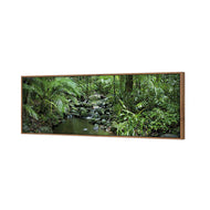 Mossman River In Daintree Rainforest