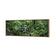 Mossman River In Daintree Rainforest