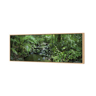 Mossman River In Daintree Rainforest