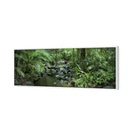 Mossman River In Daintree Rainforest