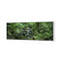 Mossman River In Daintree Rainforest
