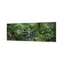 Mossman River In Daintree Rainforest