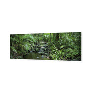 Mossman River In Daintree Rainforest