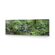 Mossman River In Daintree Rainforest