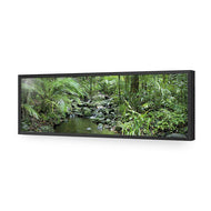 Mossman River In Daintree Rainforest