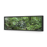 Mossman River In Daintree Rainforest