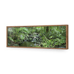 Mossman River In Daintree Rainforest