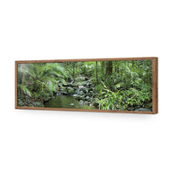 Mossman River In Daintree Rainforest