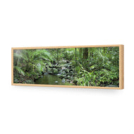 Mossman River In Daintree Rainforest
