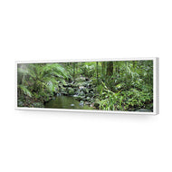Mossman River In Daintree Rainforest