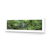 Mossman River In Daintree Rainforest